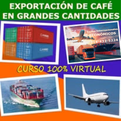miniatura del curso